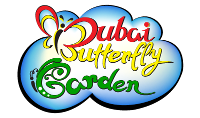 Butterfly Garden Digital Growth via Visual Content and Organic Traffic brand logo