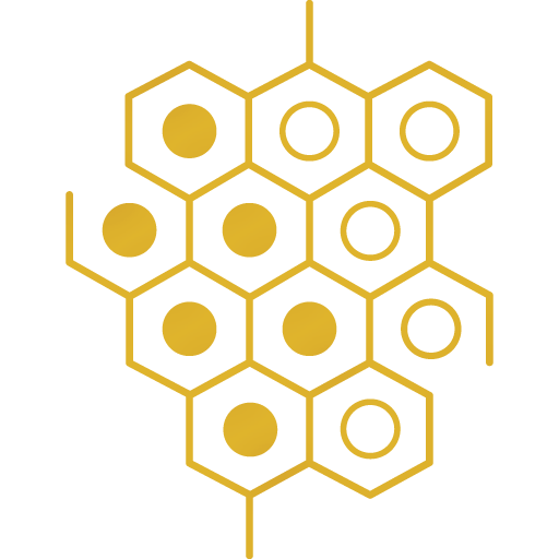 Designing integrated digital strategies for Dermatech Clinic brand logo