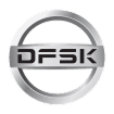Different platforms and growing results DFSK brand logo