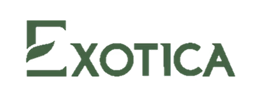 Exotica: Digital Growth Through Design, Development, SEO & Social Media brand logo