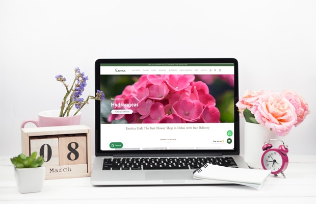 Exotica: Digital Growth Through Design, Development, SEO & Social Media