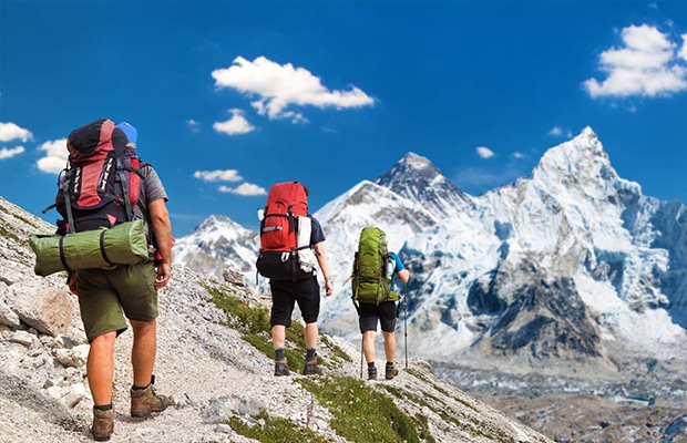 TripGuru: Driving Travel Growth with Web, SEO & SMM